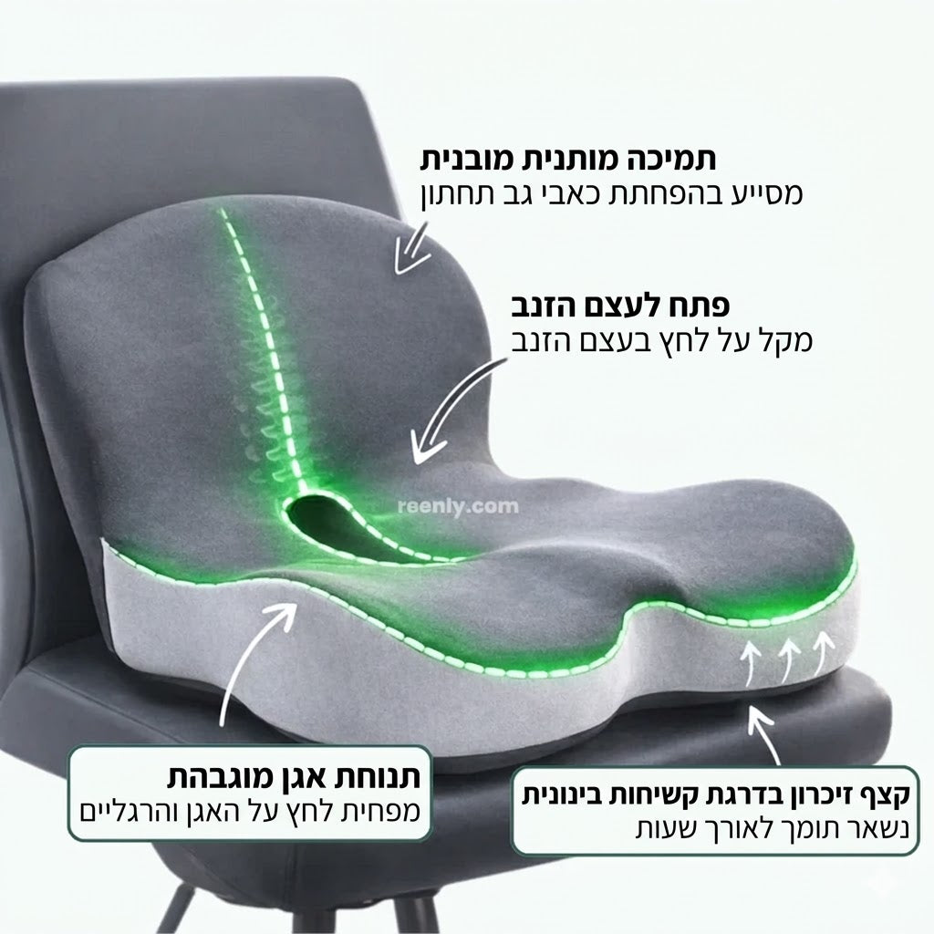 כרית גב אורטופדית - ™Relax